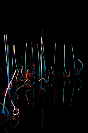 SEATTLE, WASHINGTON, USA - JAN 23rd, 2017: Glass Forest Exhibit by American Artist Dale Chihuly at Chihuly Glass and Garden Museum.のeditorial素材