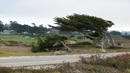 CARMEL, CALIFORNIA, UNITED STATES - OCT 6, 2014: beautiful houses at the Pebble Beach Golf Course, which is part of the famous 17 miles drive area.のeditorial素材