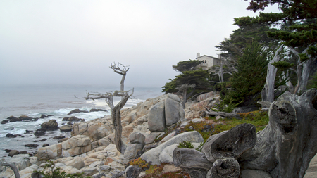 MONTEREY, CALIFORNIA, UNITED STATES - OCT 6, 2014: The Lone Cypress, seen from the 17 Mile Drive, in Pebble Beach, CA USA, along Pacific Coast Highway, scenic view Hwy No 1のeditorial素材