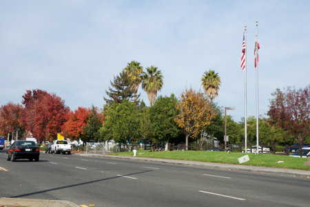 SAN FRANCISCO, CALIFORNIA, UNITED STATES - NOV 26, 2018: Various trees with red autumn foliage and palm trees along a road with carsのeditorial素材