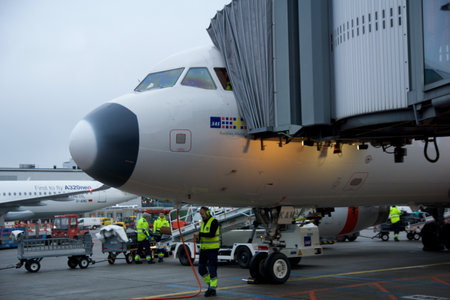 COPENHAGEN, DENMARK - NOV 24, 2018: Airbus A320 with white nose from SAS Scandinavian Airlines at the gateのeditorial素材