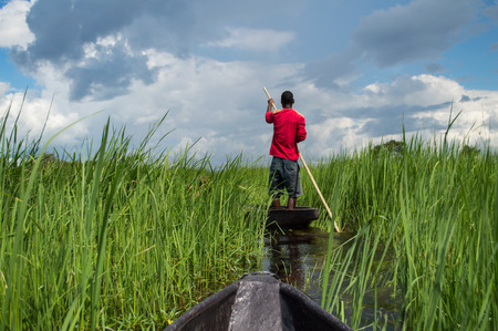 Mokoro Canoe Trip in the Okavango Delta near Maun, Botswanaの写真素材
