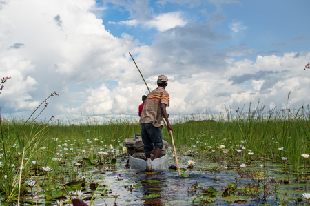 Mokoro Canoe Trip in the Okavango Delta near Maun, Botswanaの写真素材