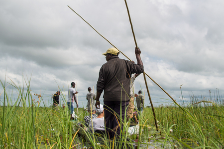Mokoro Canoe Trip in the Okavango Delta near Maun, Botswanaのeditorial素材