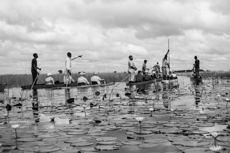 Mokoro Canoe Trip in the Okavango Delta near Maun, Botswanaのeditorial素材