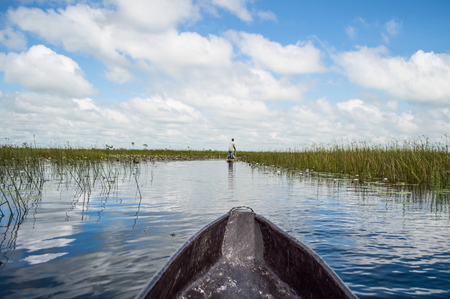 Mokoro Canoe Trip in the Okavango Delta near Maun, Botswanaの写真素材