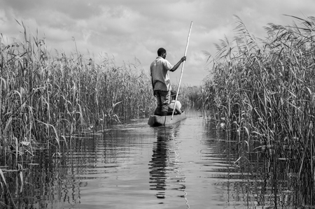 Mokoro Canoe Trip in the Okavango Delta near Maun, Botswanaのeditorial素材