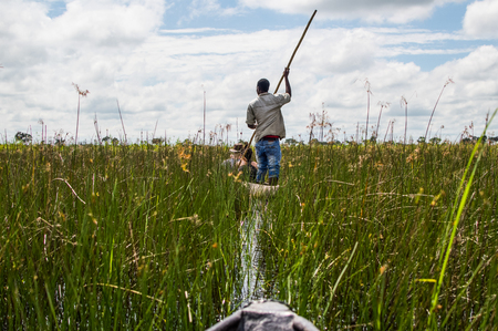 Mokoro Canoe Trip in the Okavango Delta near Maun, Botswanaの写真素材