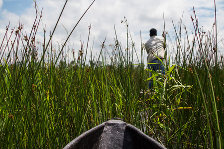 Mokoro Canoe Trip in the Okavango Delta near Maun, Botswanaの写真素材