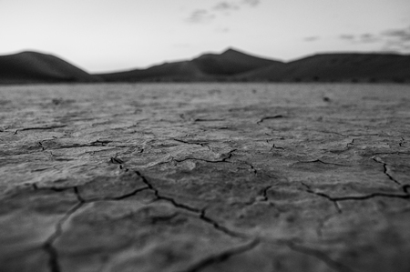 Big Daddy Dune at Dawn, Desert Landscape, Sossusvlei, Namibiaの写真素材