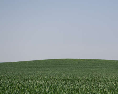 Agricultural Landscape Scenery in Denmark