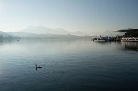 Swiss Mountain and Lake Landscape with Swan in Lucerneの写真素材