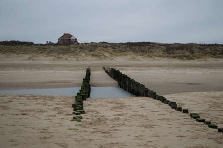 Beach, Breakwater and Dunes with House in Domburg, Zeeland, Netherlandsの写真素材