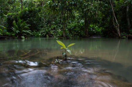 Kuang Si Waterfalls near Luang Prabang, Laos