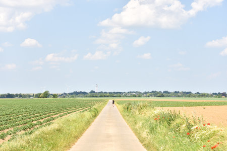 A Woman Jogging in the Belgium Countryside near Hanutの写真素材