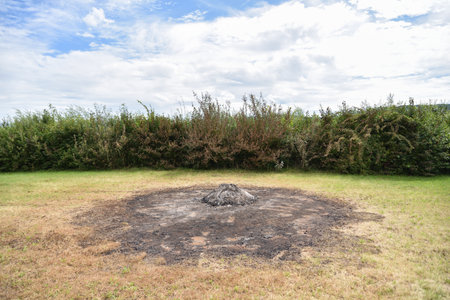 Remnants of a Fire in the Countrysideの写真素材