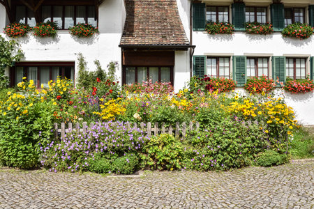 Traditional Homes with Flowers in the Countryside near Zurich, Switzerlandの写真素材