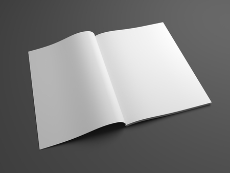 Blank open magazine mock up with two pages showing. 3d illustration template brochure with blank cover.の写真素材