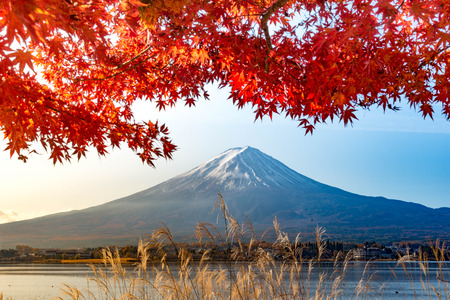 Mt.Fuji in autumn on sunrise at lake Kawaguchiko,の写真素材