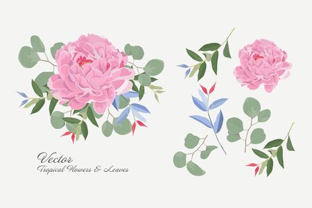 Set of tropical flower and branch. Flower pink paeonia, green leaves. Wedding concept with flowers. Floral poster. Vector inviting card designのイラスト素材