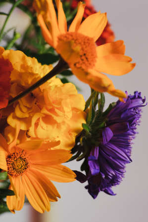 flower arrangement of marigolds and asters.の写真素材