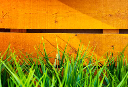 background of yellow wood and green grass.の写真素材