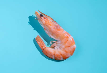 Boiled red shrimp on a bright blue background. Close-up.の写真素材