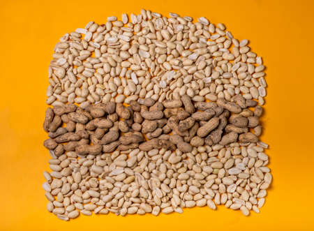 Burger shaped peanuts laid out on yellow backgroundの写真素材