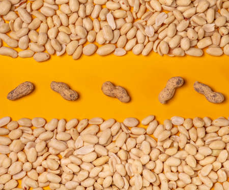 Peanuts on a yellow background with unpeeled nuts in the middle.の写真素材