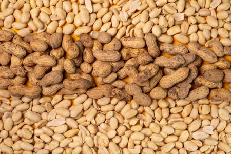 Peanuts close-up without free space, top view.の写真素材