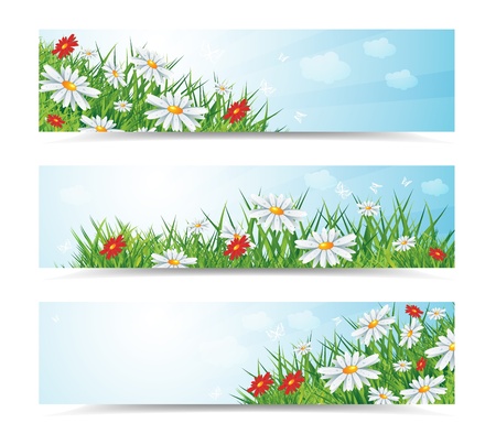 summer natural banners with flowes and blue sky, eps10 vector illustrationのイラスト素材
