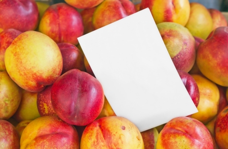 Colorful Nectarine Fruits with Blank Price Tag on a Farmers Market, horizontal shotの写真素材