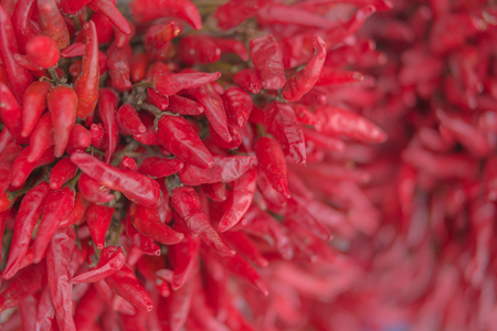 closeup of Dried red chili peppers bouquet, shallow focusの写真素材