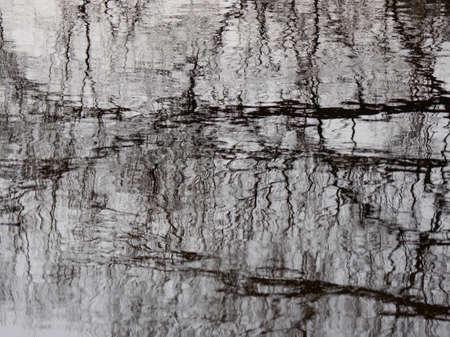 Reflection of trees on the water surface. Interesting abstract pattern as a background.