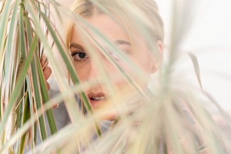 Portrait of beautiful young woman with blonde hair trough the leaves of the plant in nature homeの写真素材