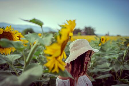 Portrait of young woman in white dress standing in the crops field of sunflowers in a sunny summer...