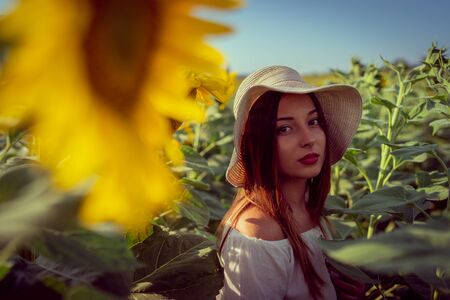 Portrait of young woman in white dress standing in the crops field of sunflowers in a sunny summer day wearing hatの写真素材