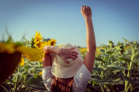 Portrait of young woman in white dress standing in the crops field of sunflowers in a sunny summer day back viewの写真素材