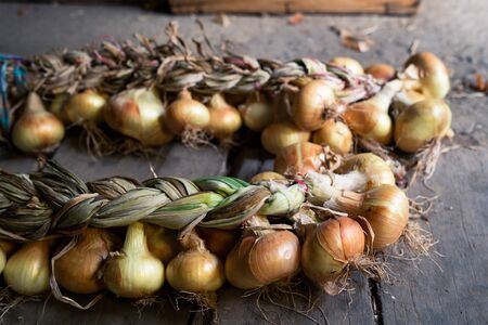 Group of fresh ripe organic red onion harvested in a bunch bundle on the ground in barn on the farm...