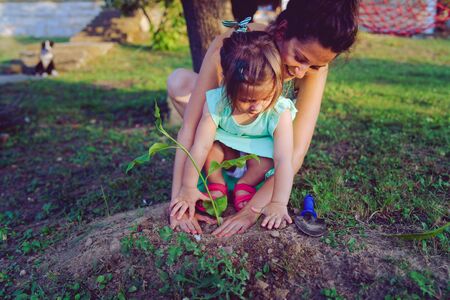 Young woman and her daughter planting a tree in their garden backyard or in nature fieldの写真素材