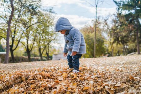 Portrait of small boy wearing coat playing with brown fallen leaves in park on the field in autumn day having fun in natureの写真素材