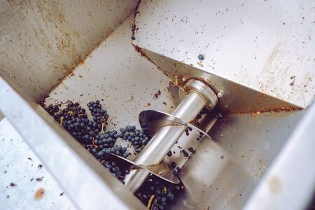 Grape squeeze machine in winery grapes processing squash mill after the harvestの写真素材