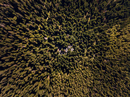 Markov Kamen famous rock in between the trees on the Kopaonik mountain in Serbia - Top down aerial...