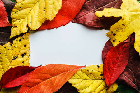 Background of red and yellow colorful leaves stacked on pile - autumn concept copy space for text