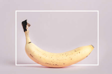 Desaturated banana on background with white frame and space for textの写真素材