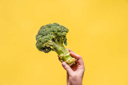 Hand of unknown person hold Fresh organic broccoli over the yellow background with copy space - modern healthy eating vegetarian or vegan food conceptの写真素材