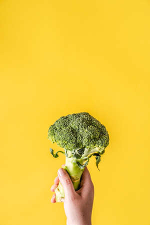 Hand of unknown person hold Fresh organic broccoli over the yellow background with copy space - modern healthy eating vegetarian or vegan food conceptの写真素材
