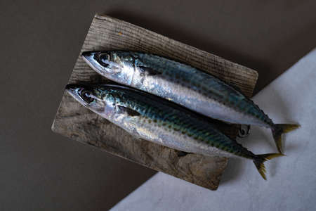 Beautiful photography two fish in cutting boar , white and gray background
