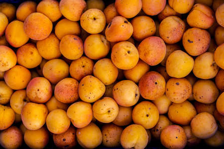 Yellow plum photography, Mirabelle plum, top view, fruits photographyの写真素材