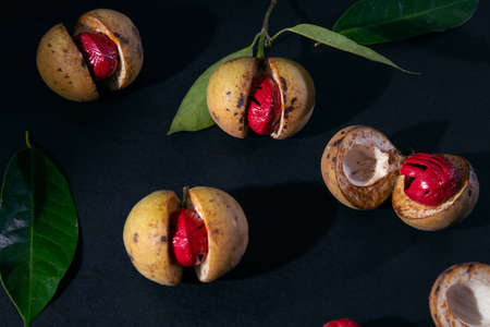 Nutmeg fruits on Dark blue background, Sectional View Of A Ripe Nutmeg Fruit, Nutmeg fruits photography top view, Light and shade photographyの写真素材